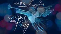 Christmas Eve & Christmas Day